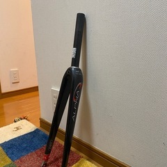 alpha Q GS-10 美品 フルカーボンフォークの画像