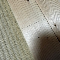 決まりました【12/29までに引き取りのみ】ツーバイフォー 169センチ 2本の画像