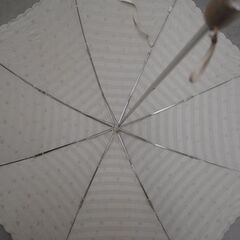 [1836]前原光榮商店　晴雨兼用　UV加工　折りたたみ傘　皇室御用達の画像