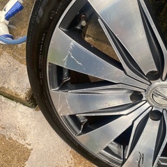 ロクサーニーダブルヴィジョン20インチの画像