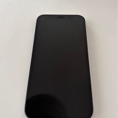 iPhone 12 mini 128GB ブラック（SIMロック解除済み）の画像