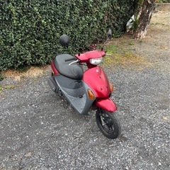 1186.SUZUKI レッツ4 4スト　原付　バイク　50cc 車体　埼玉の画像