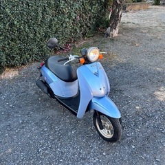 1191.ホンダ　トゥデイ　1オーナー　低走行　美車　原付　バイク　50cc 車体　埼玉の画像