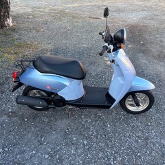 1191.ホンダ　トゥデイ　1オーナー　低走行　美車　原付　バイク　50cc 車体　埼玉の画像