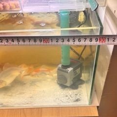 水槽セットの画像