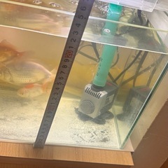 水槽セットの画像