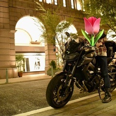 【譲渡】女性ワンオーナー YAMAHA  MT-09 2017年の画像