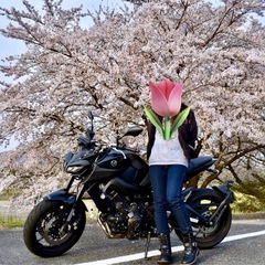 【譲渡】女性ワンオーナー YAMAHA  MT-09 2017年の画像