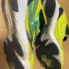 ムーンスターのスニーカー《24センチ》の画像