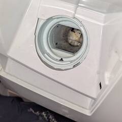 ドラム式洗濯機　BD-S3800L　日立　～1月20日までの画像