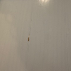 テーブルのみの画像