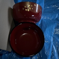 大きめお椀10個セットの画像