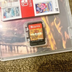 ゼルダの伝説 ブレス オブ ザ ワイルド Nintendo Switch ソフトの画像