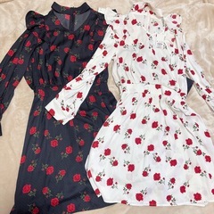 【12/28昼 天満橋】レディースいろいろセットの画像