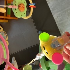 プーメリーの画像