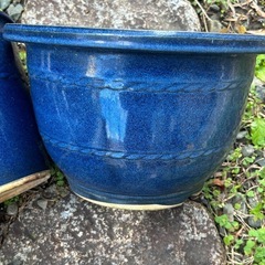 植木鉢の画像