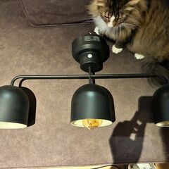 アイアン3連シーリングライトの画像