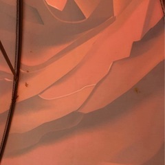 薔薇　手動傘　赤　ウッドステッキの画像