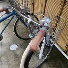 自転車　1月5日までの画像