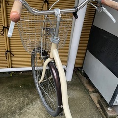 自転車　1月5日までの画像