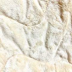 新品タグ付き西川　冬用敷きパッド、毛布の代わりにも、ゴールド系シングルの画像