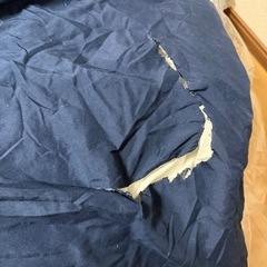 【1月処分予定】ニトリ　シングル掛け布団×2枚の画像