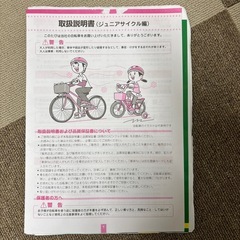 ブリヂストン Ricorina（リコリーナ）22インチ 女の子用／状態良好の画像