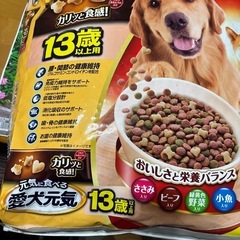 愛犬元気　お譲りしますの画像
