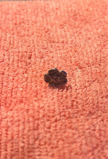 ゴローズ　ピアス　中古