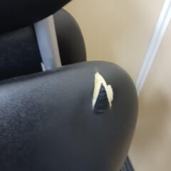 【引取歓迎】山善YAMAZEN 折り畳み椅子の画像