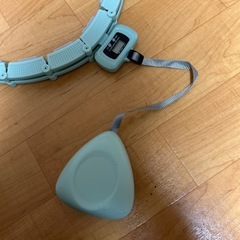 カウンター付でサイズ変更のフラフープの画像