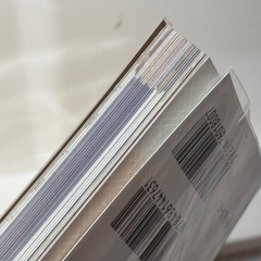 超美品✴︎温泉むすめ公式ブックの画像