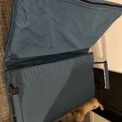 【4名商談中】ソファーベッド　シングルサイズの画像