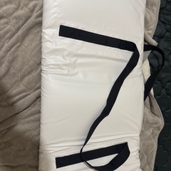 断熱魚釣りクーラーバッグの画像