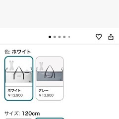 断熱魚釣りクーラーバッグの画像