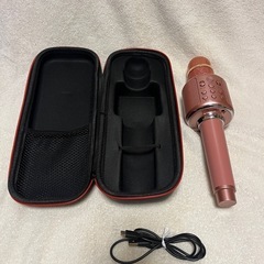 Smarly カラオケマイクの画像