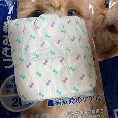 ペットの紙オムツSサイズの画像