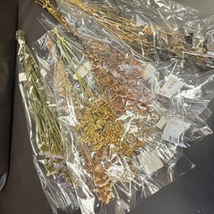 【中古】ドライフラワー19束セットの画像