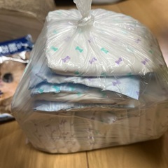 ペットの紙オムツSサイズの画像