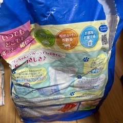 マナーウェア男の子用Lサイズの画像