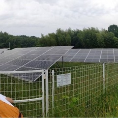 【日曜午前限定】草刈り代行します｜豊橋・豊川・湖西 - 便利屋