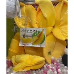 ☆わんちゃん・ねこちゃんのベッドの画像