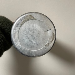 SIGボトル1l　シグボトル　アルミ製水筒 の画像