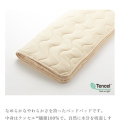 ベッド
パットSD（お取引相手決まりました）の画像