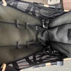 B型バギーの画像