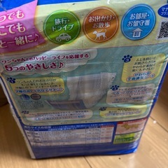 マナーウェア男の子用Mサイズの画像