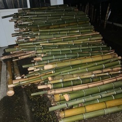 竹 伐採竹 枝葉 畑などにどうですかの画像