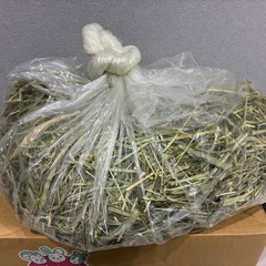 チモシー  うさぎ牧草の画像