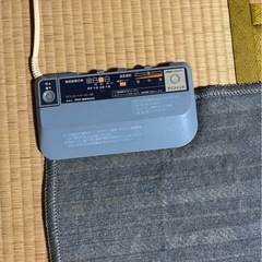 値下げ相談可能　ブラザー　電気カーペット　ホットカーペット動作確認済みの画像