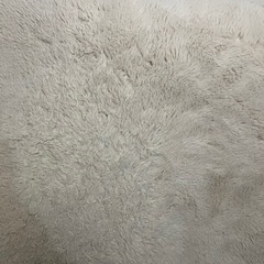 ラグ　カーペットの画像